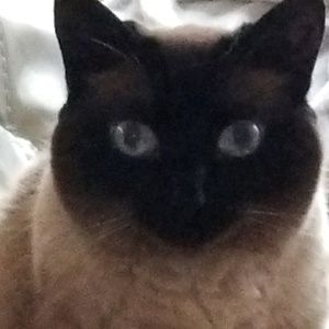 Meet your Posher, Wanda